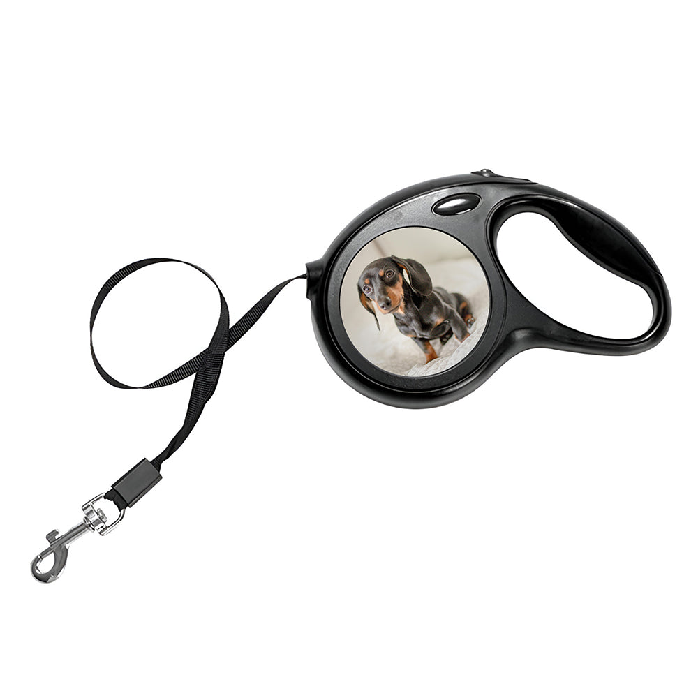 Personalised Photo Dog Lead