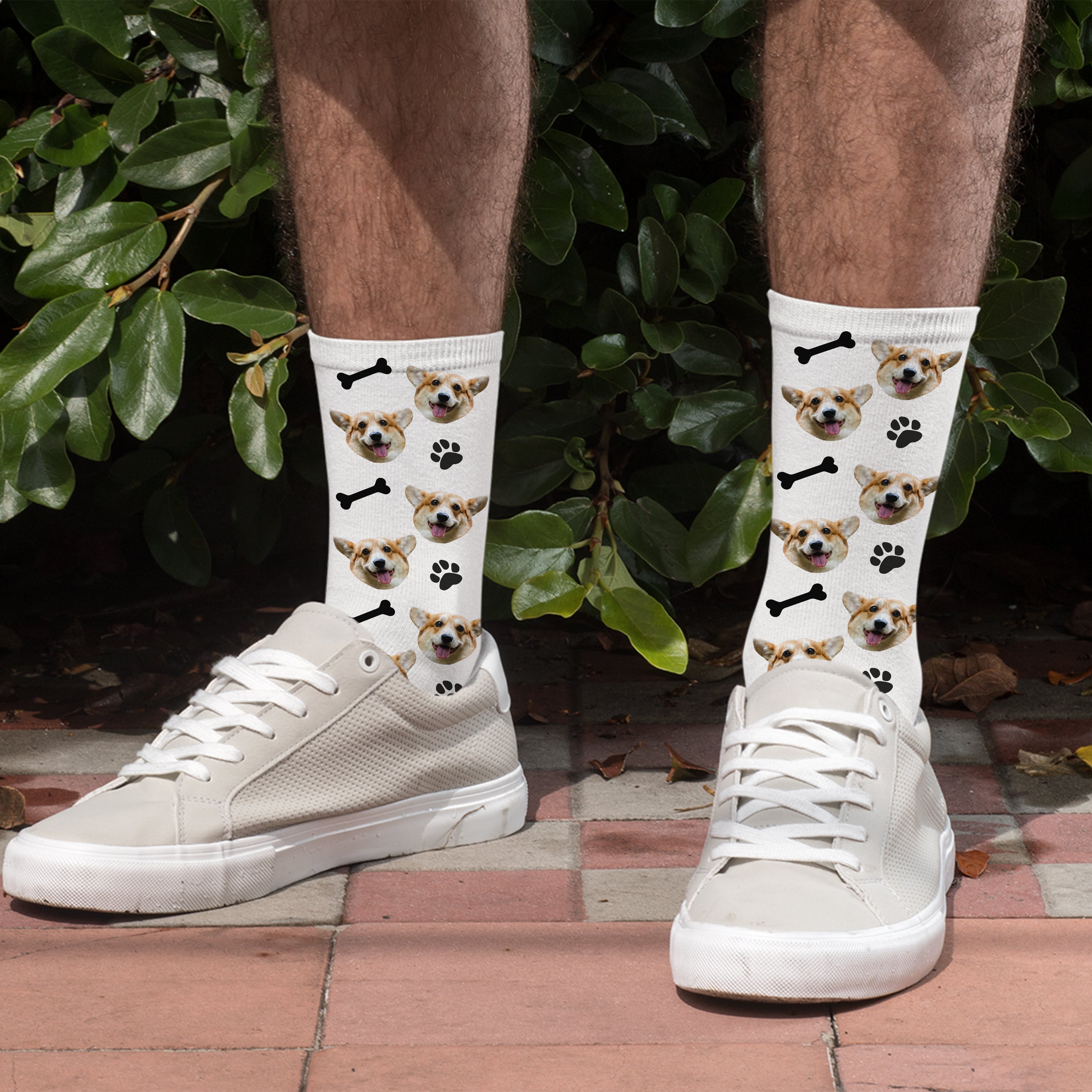 Personalised Dog Photo Socks