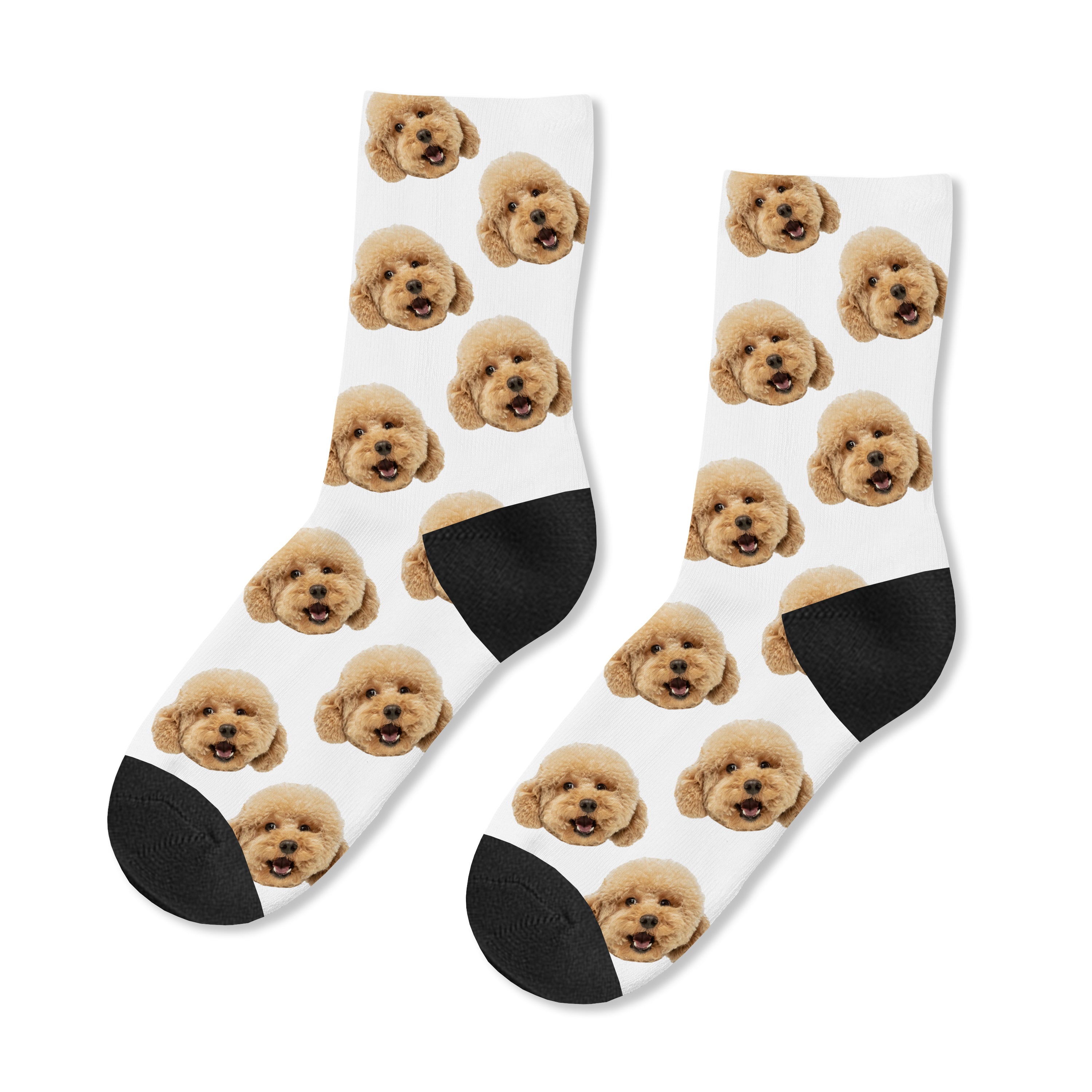 Personalised Dog Photo Kids Socks