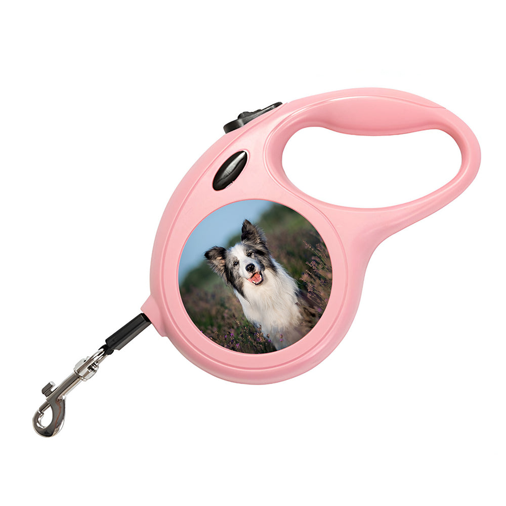 Personalised Photo Dog Lead