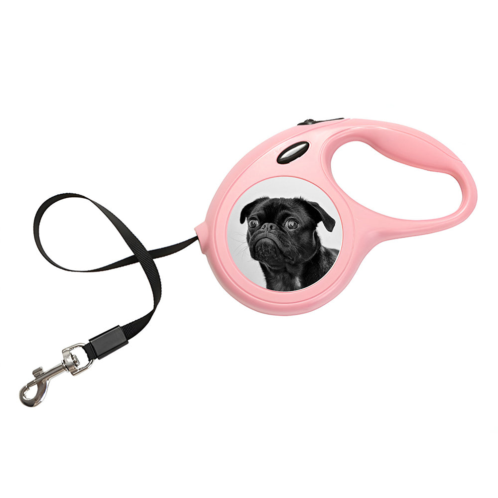 Personalised Photo Dog Lead