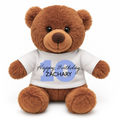 Personalised Kid's Football Shirt Teddy Bear