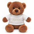 Personalised Boy's Teddy Bear