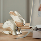 Personalised Silver Plated Rabbit Money Box