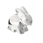 Personalised Silver Plated Rabbit Money Box