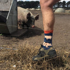 Farm 4 Pack Bamboo Sock Set