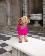 Fandango Pink British Wool Dog Jumper
