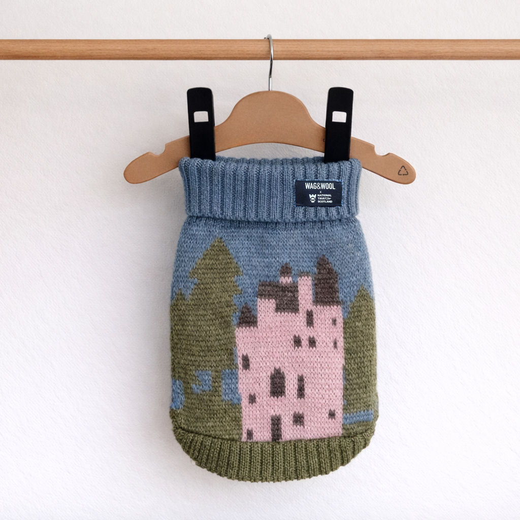 Pink Castle Dog Jumper in British Wool