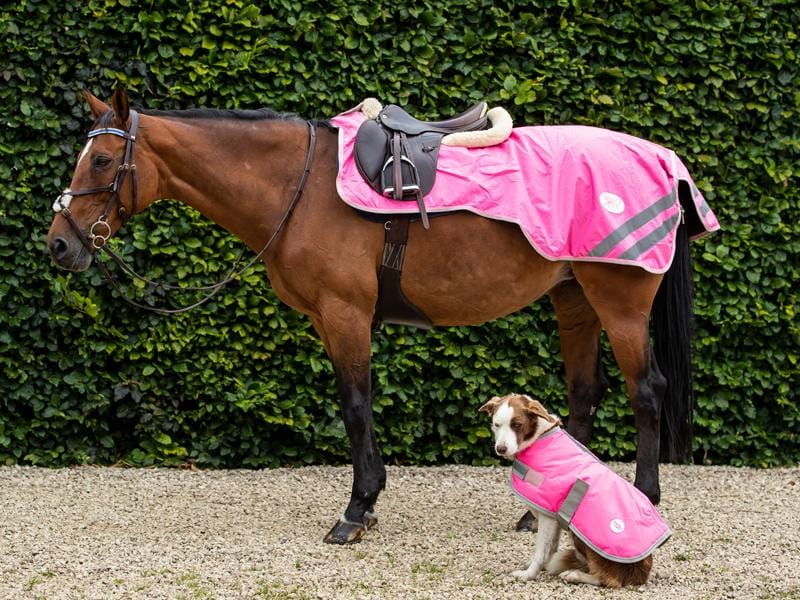 Waterproof Exercise Sheet - High Vis Pink