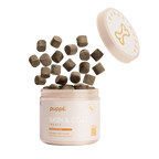 Skin & Coat Treats