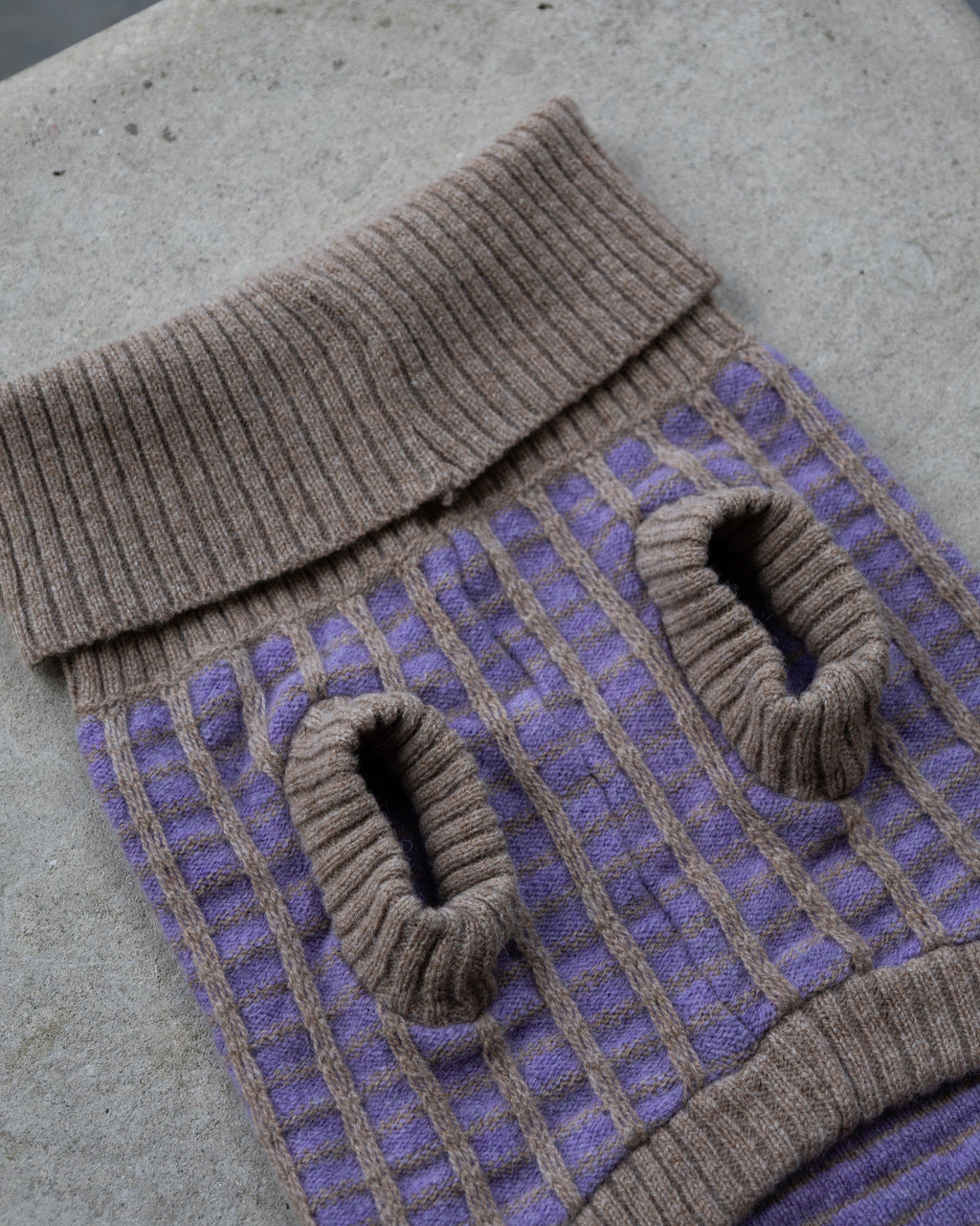 Purple Dog Jumper in Pure Merino Lambswool