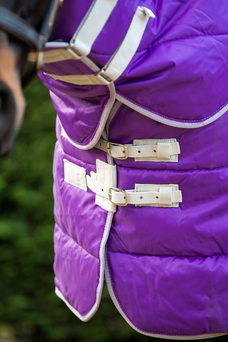 200g Stable Rug With Detachable Neck - Purple