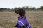 Luxe Waterproof Dog Coat 0g - Purple