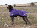 Luxe Waterproof Dog Coat 250g - Purple