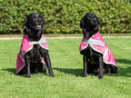 Waterproof Dog Coat - Raspberry