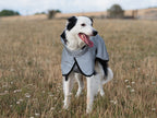 Luxe Waterproof Dog Coat 0g - Reflective Silver