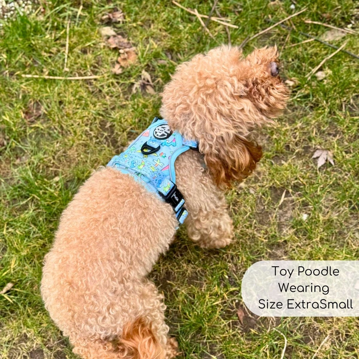 Rugged Rover™ Harness - Jurassic Party