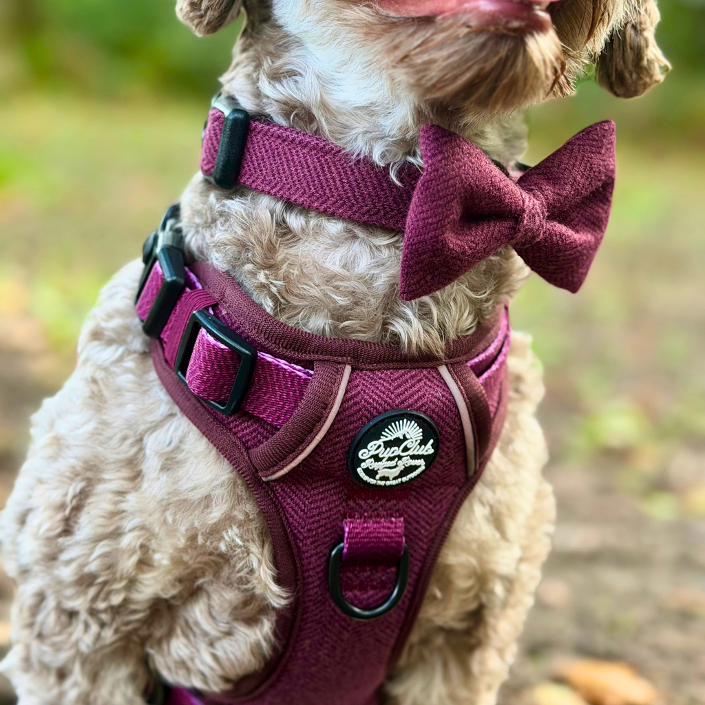 Rugged Rover™ Harness - Berry Tweed