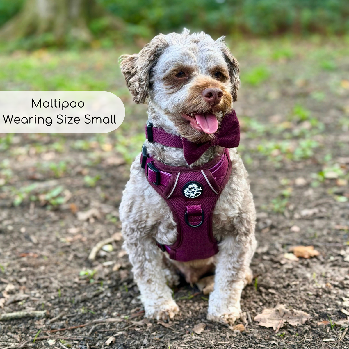 Rugged Rover™ Harness - Berry Tweed