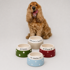 Personalised Ear Free Cocker Spaniel Bowl