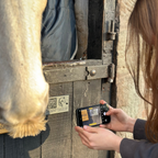 Equine QR Mount