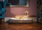THE LINCOLN | LUXURY TWEED FLAT PILLOW DOG BED
